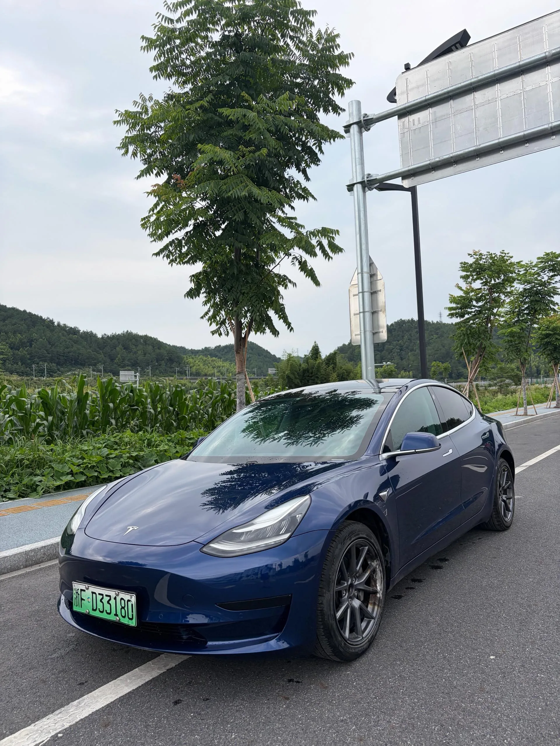 2020 Model 3 Facelift: Standard Range RWD Plus