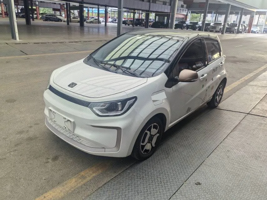 Flower Fairy 2023 Anniversary Edition, 301 km, Starry Sky, 45 kW