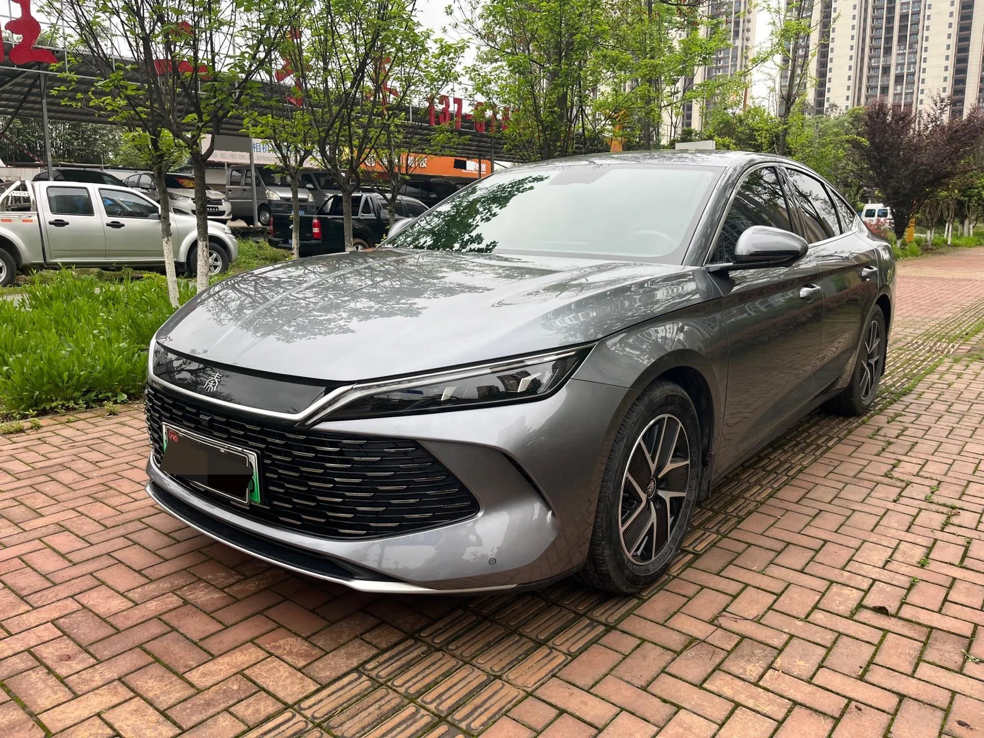 Qin L 2024 DM-i 80KM Super Edition