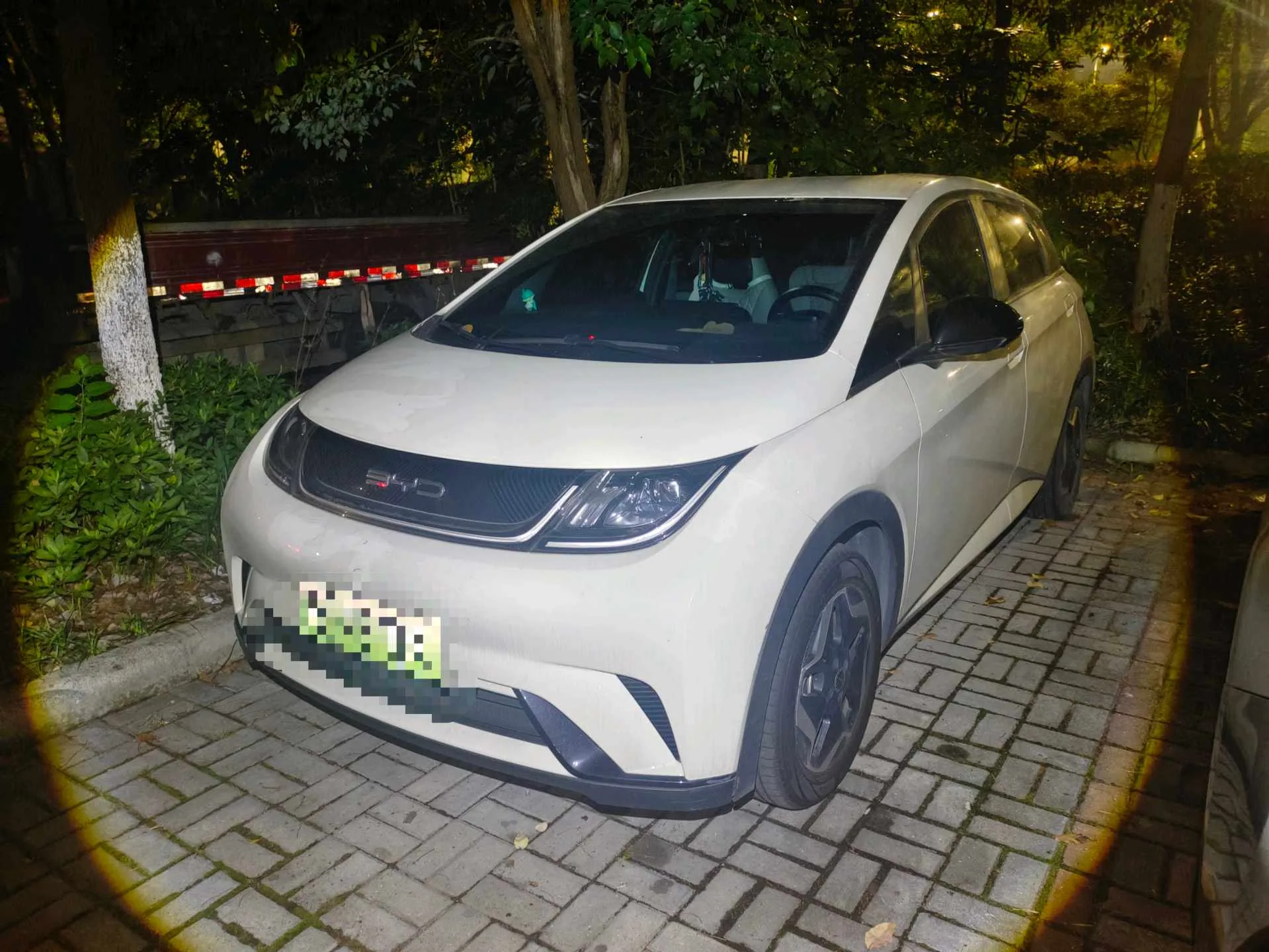 Dolphin 2021 405km Freedom Edition