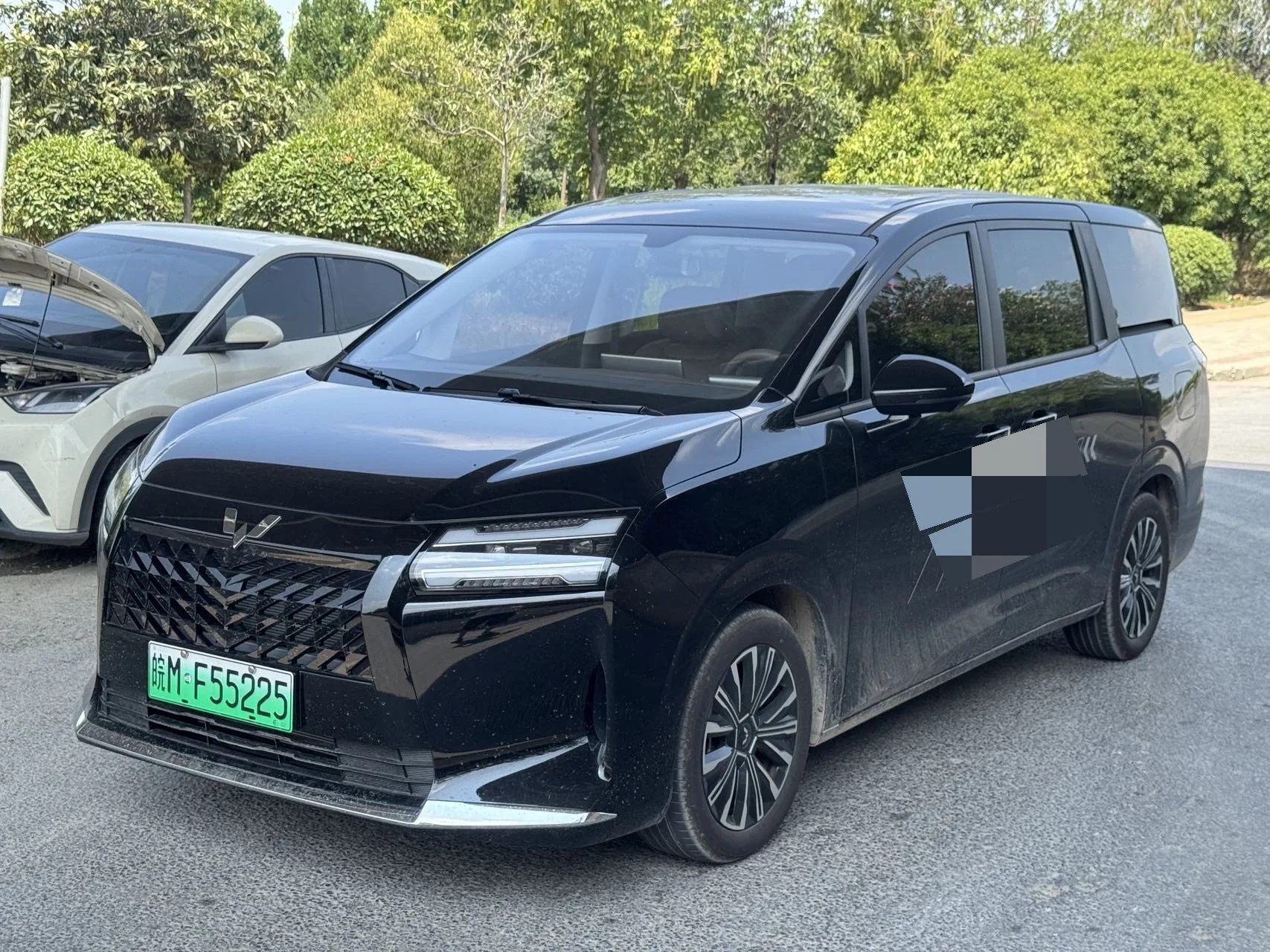 Starlight 730 New Energy 2025 Plug-in Hybrid 125km Luxury Model