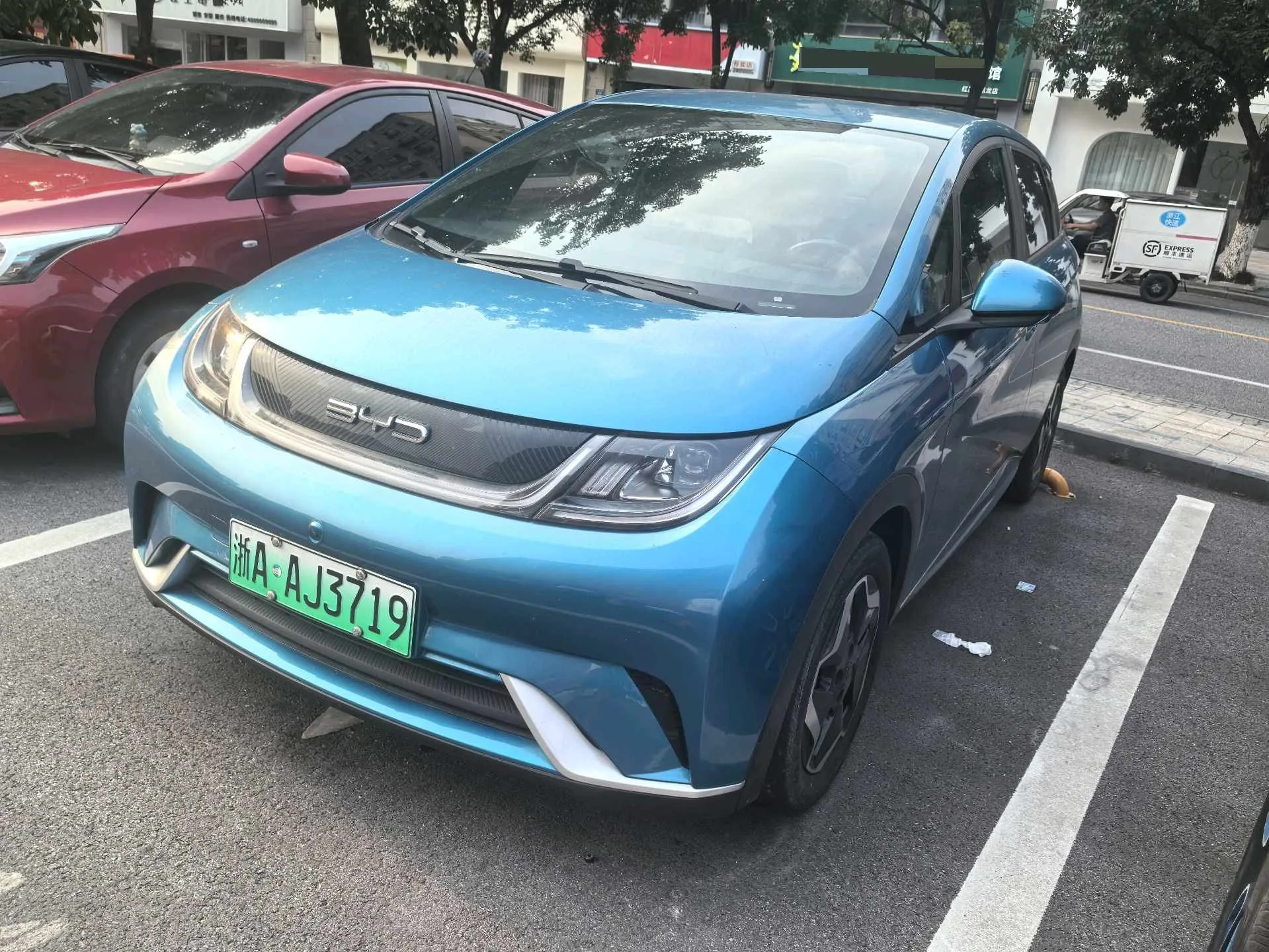 Dolphin 2021 405km Fashion Edition