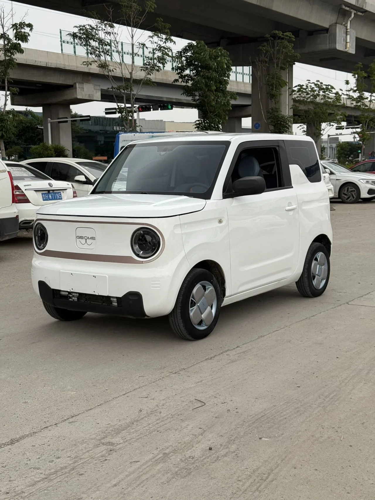 Panda 2023 Panda Mini 200km Endurance Bear