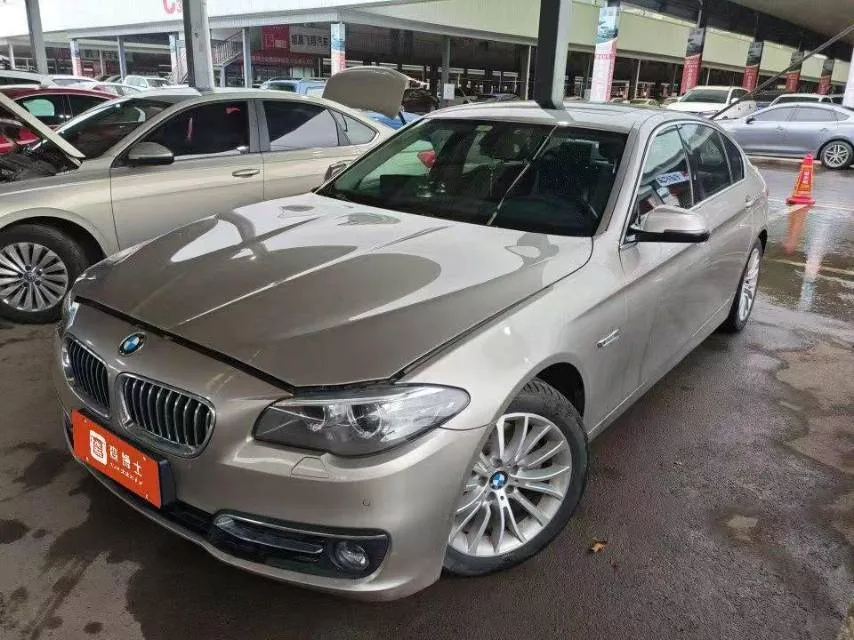 2014 BMW 5 Series 525Li Luxury Design Package