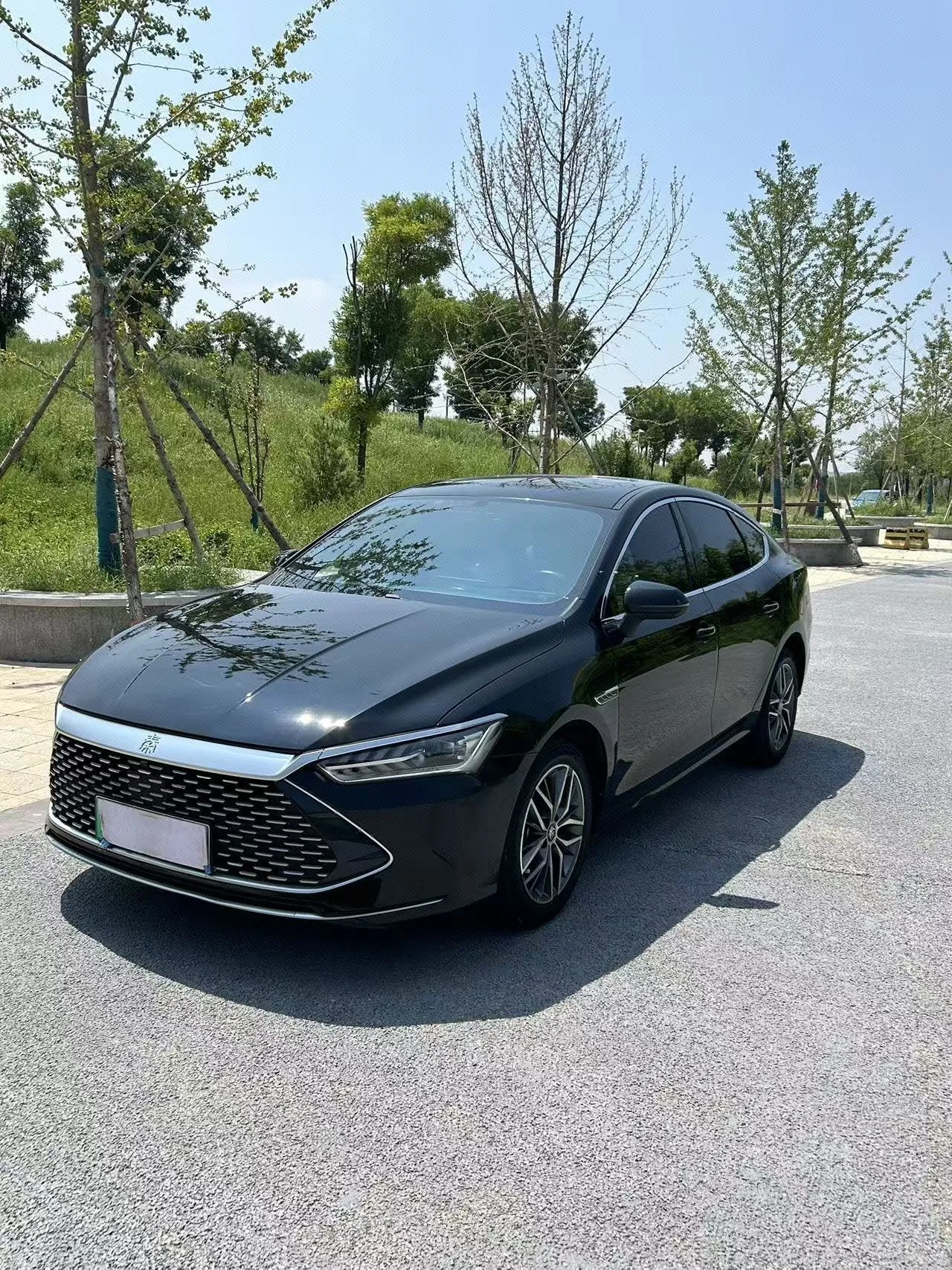 BYD 2023 Qin PLUS DM-i 1.5 CVT Champion Edition Excellence Model 120KM Automatic