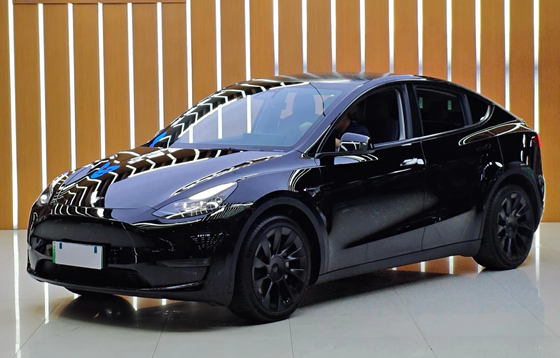 Model Y 2021 Standard Range Rear-Wheel Drive
