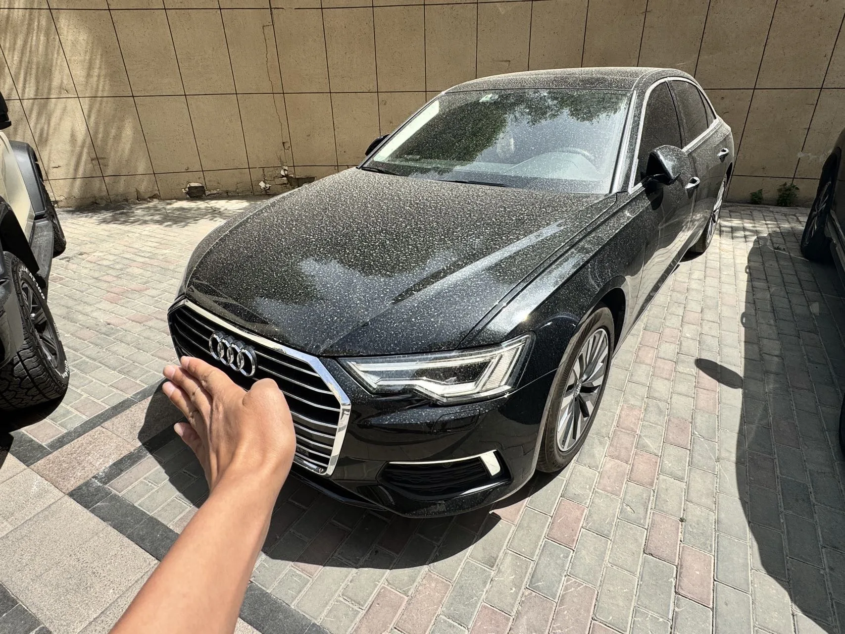 2019 Audi A6L 45 TFSI Premium Elegance Edition