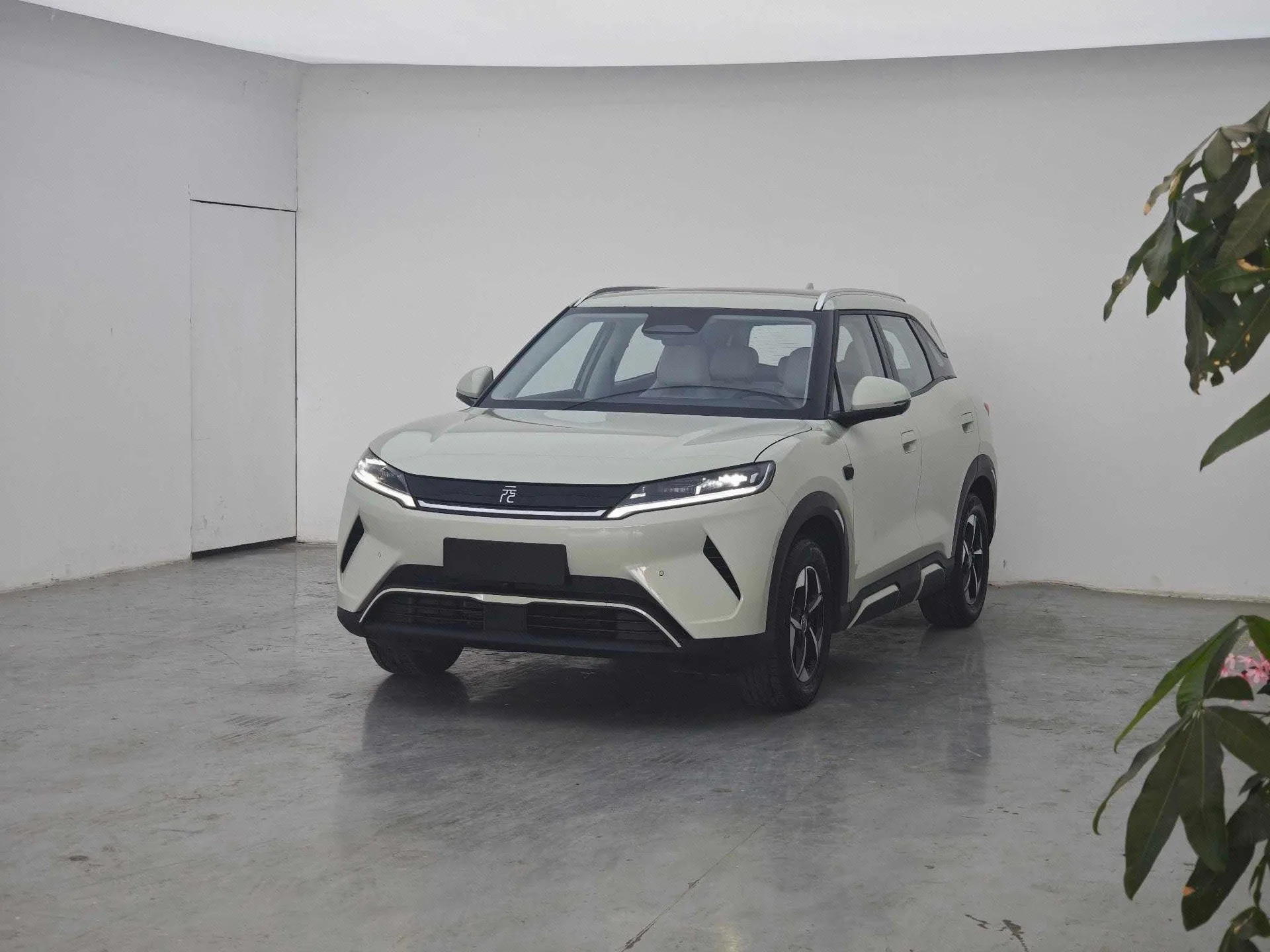 BYD 2024 Yuan UP 401KM Vitality Edition Automatic