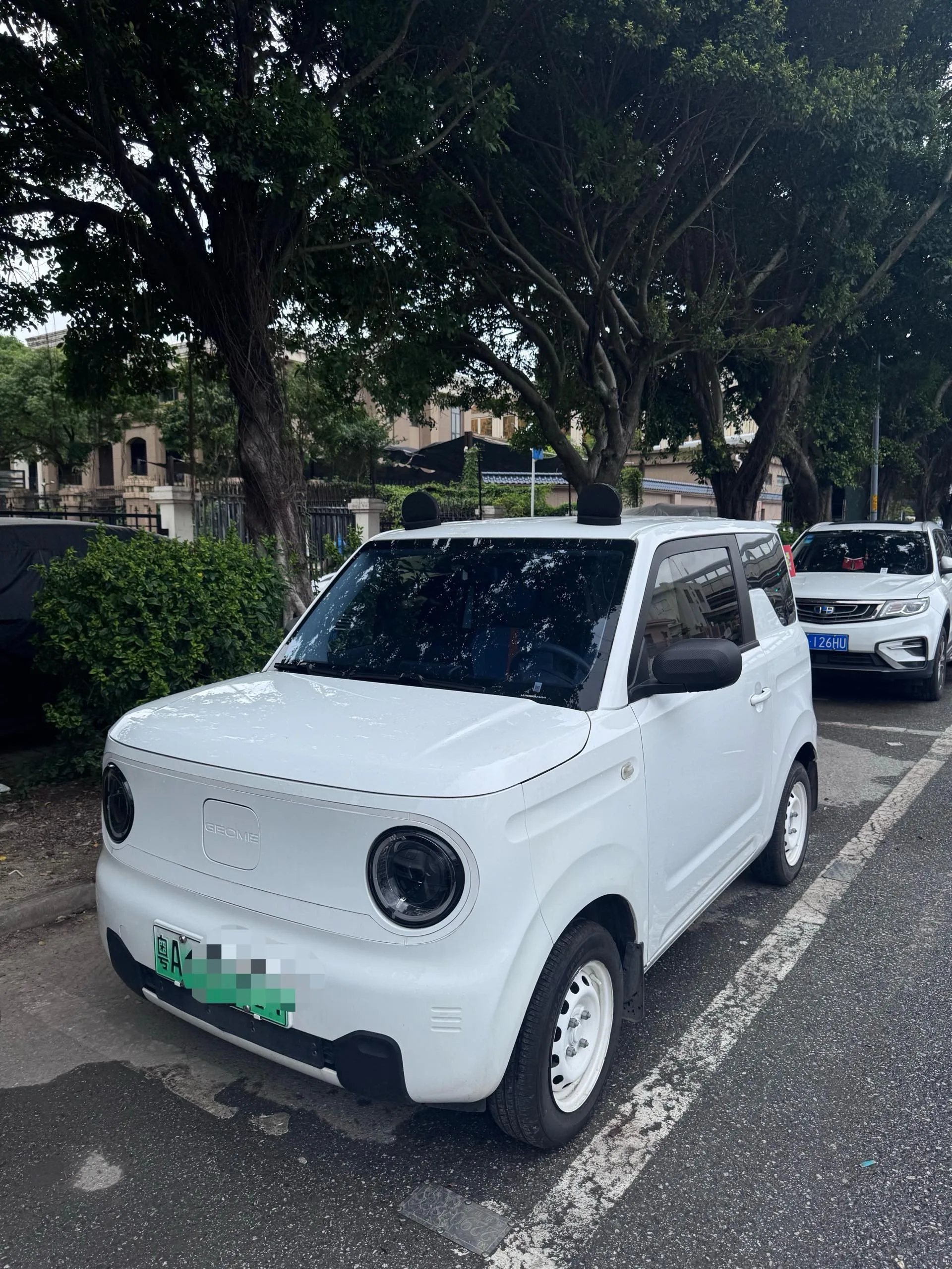 Panda 2023 Panda Mini 200km Endurance Bear