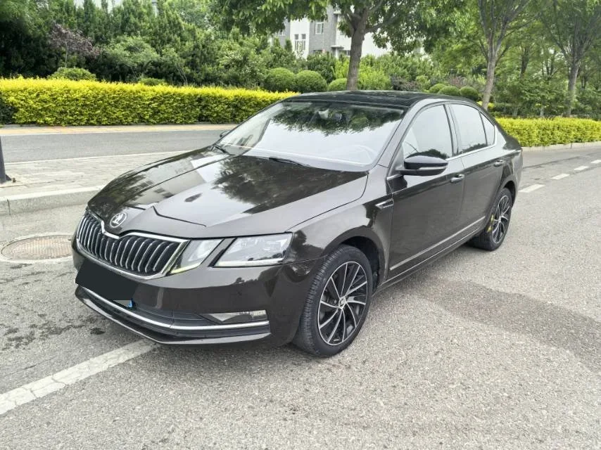 Octavia 2019 TSI280 DSG Smart Luxury Edition (National V Emission Standard)