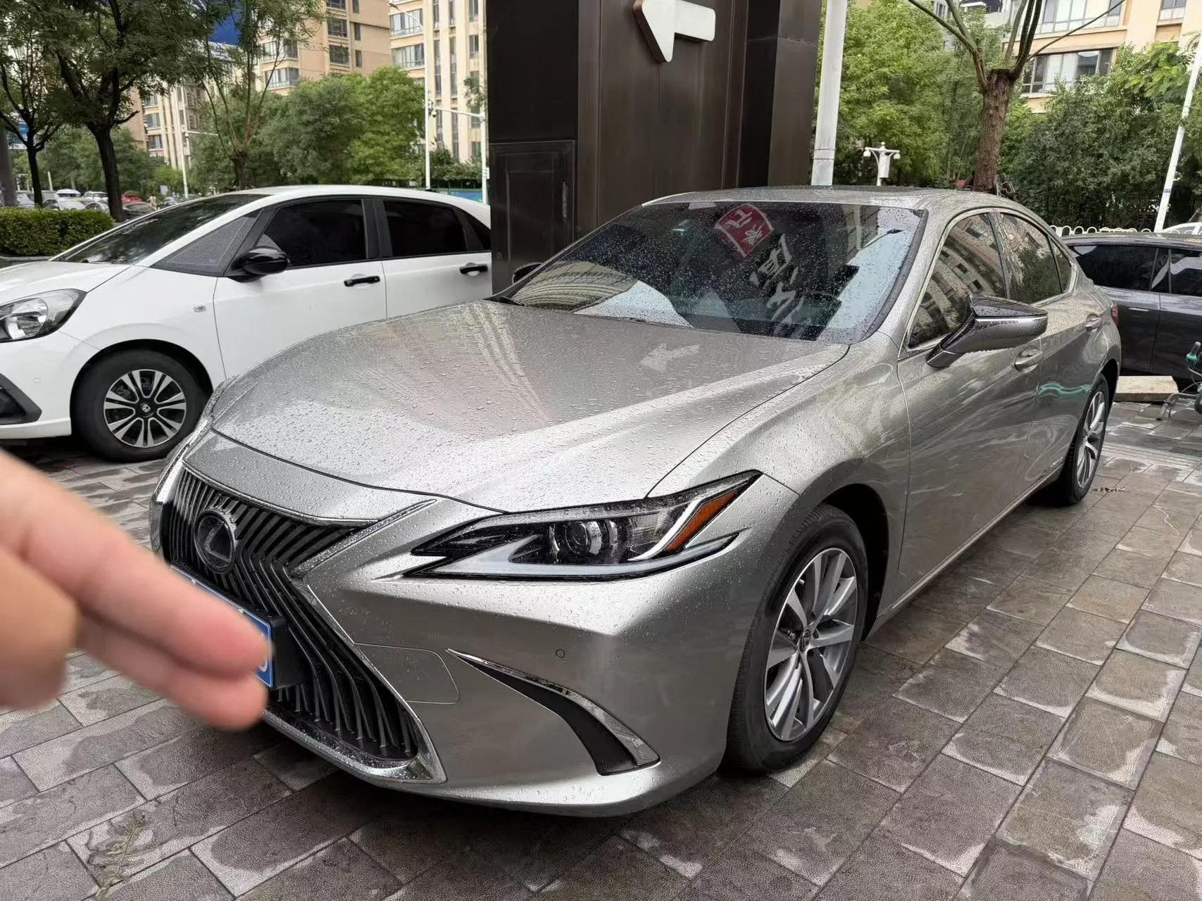 Lexus ES 2020 300h Premium Edition