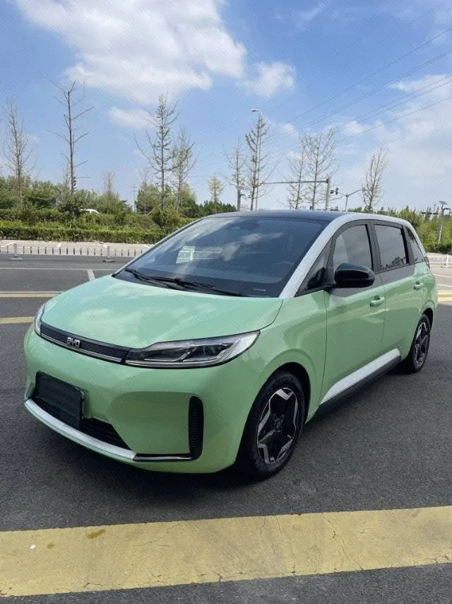 BYD D1 2021 Model Year, Leading Innovation Edition