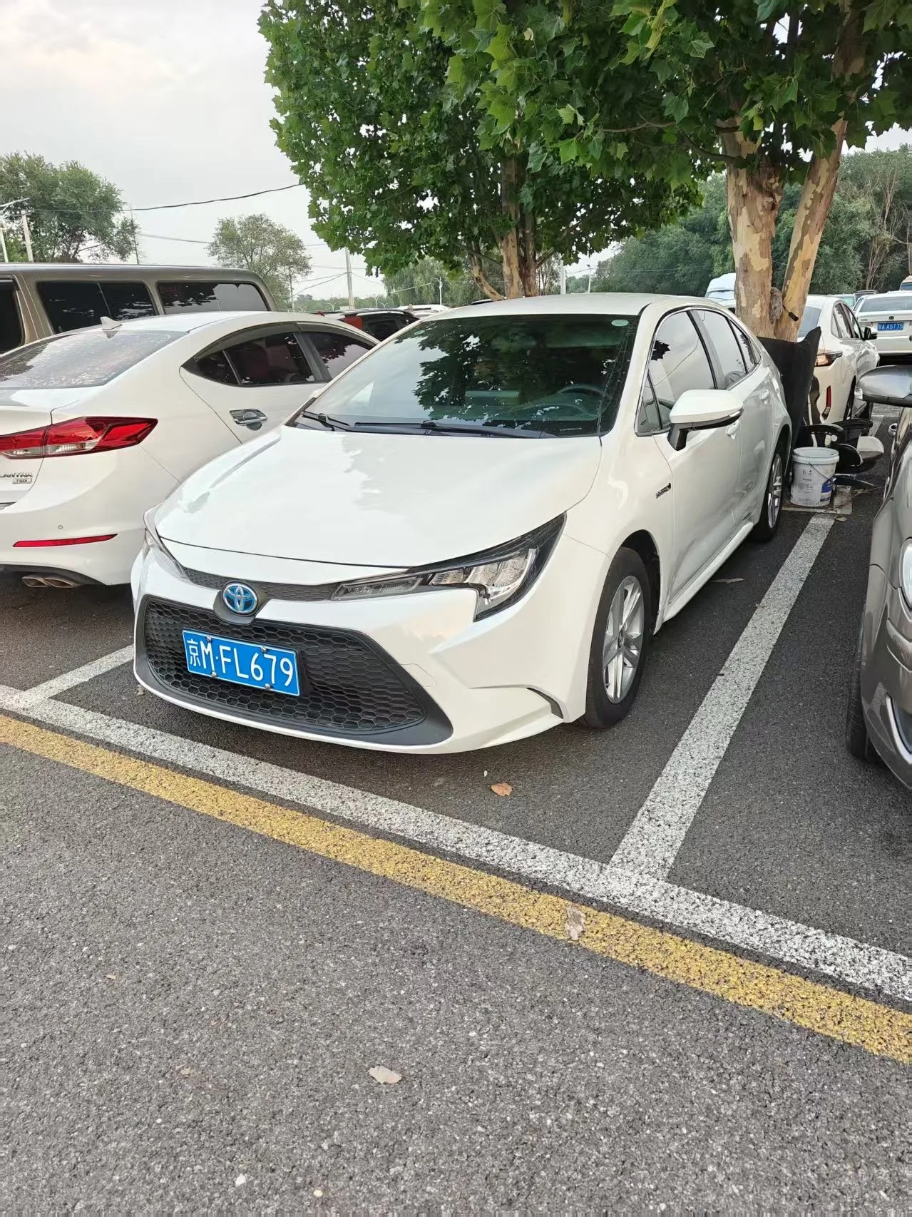 2022 Corolla Hybrid 1.8H E-CVT Ambition Edition