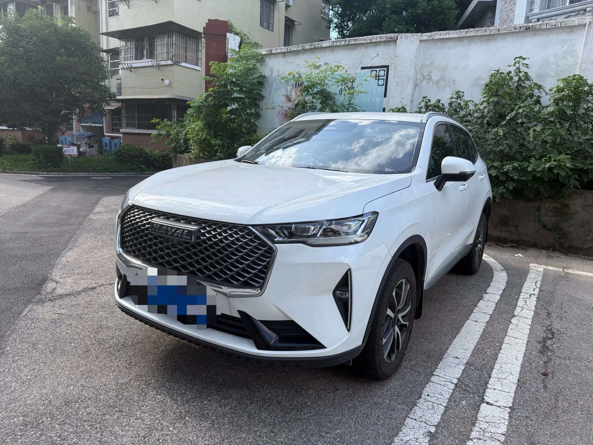 Haval 2024 H6 1.5T 2WD Classic Edition Automatic
