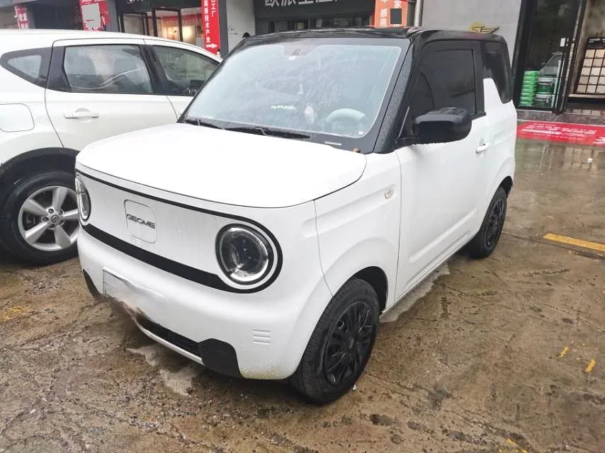 Panda 2024 Panda Mini 200km Endurance Bear