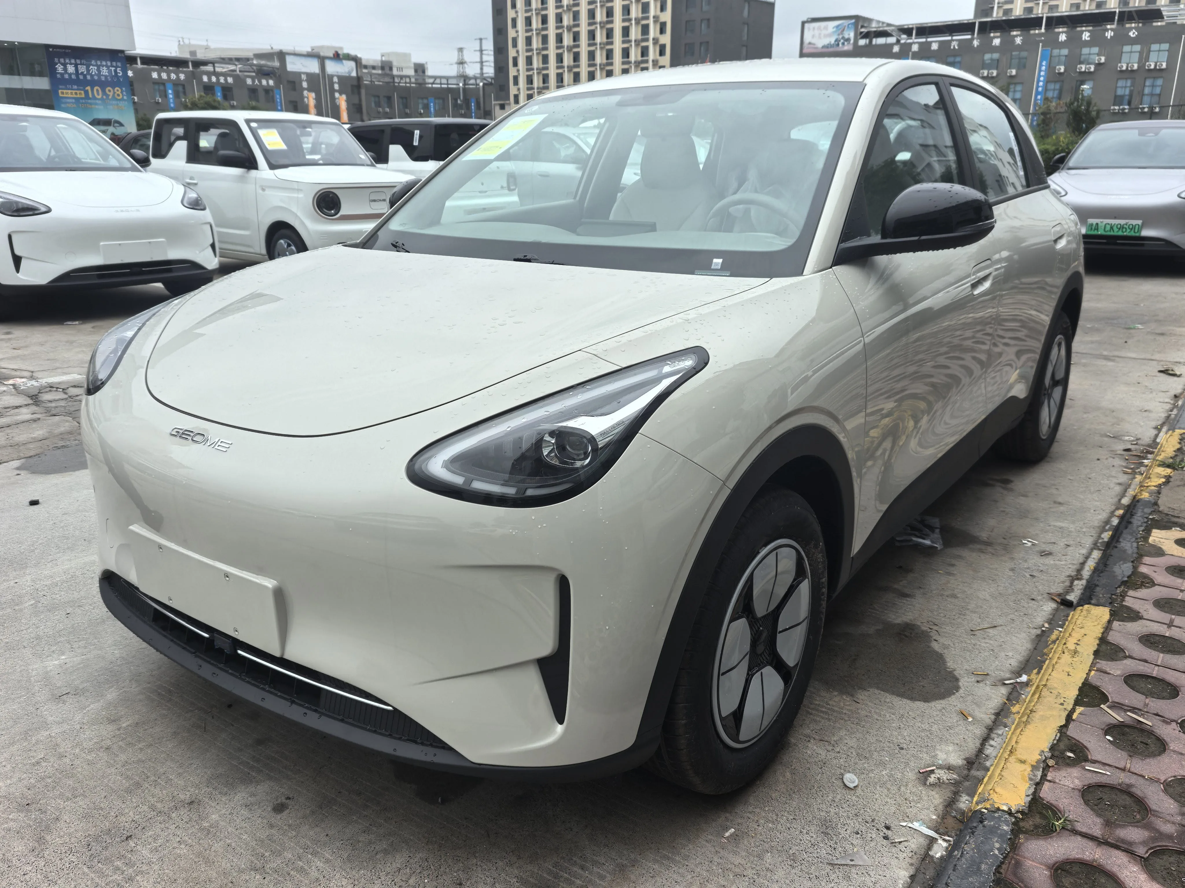Geely 2026 Star Wish 310km Aspiration Edition, Automatic Transmission