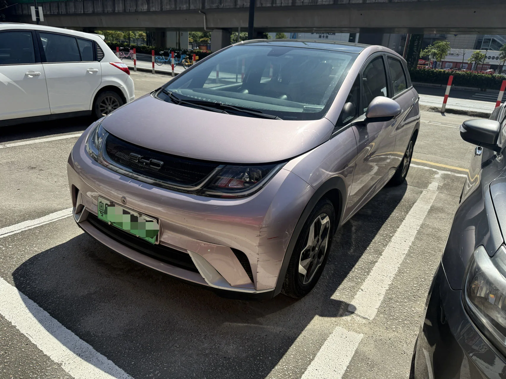 Dolphin 2021 405km Fashion Edition