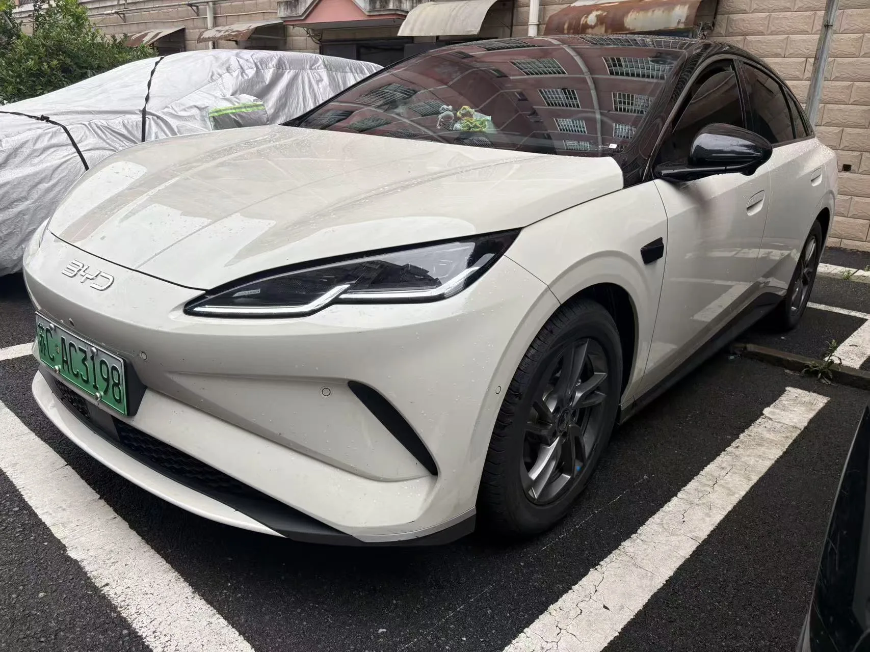 BYD 2025 Seal 06 EV 545KM Premium Automatic