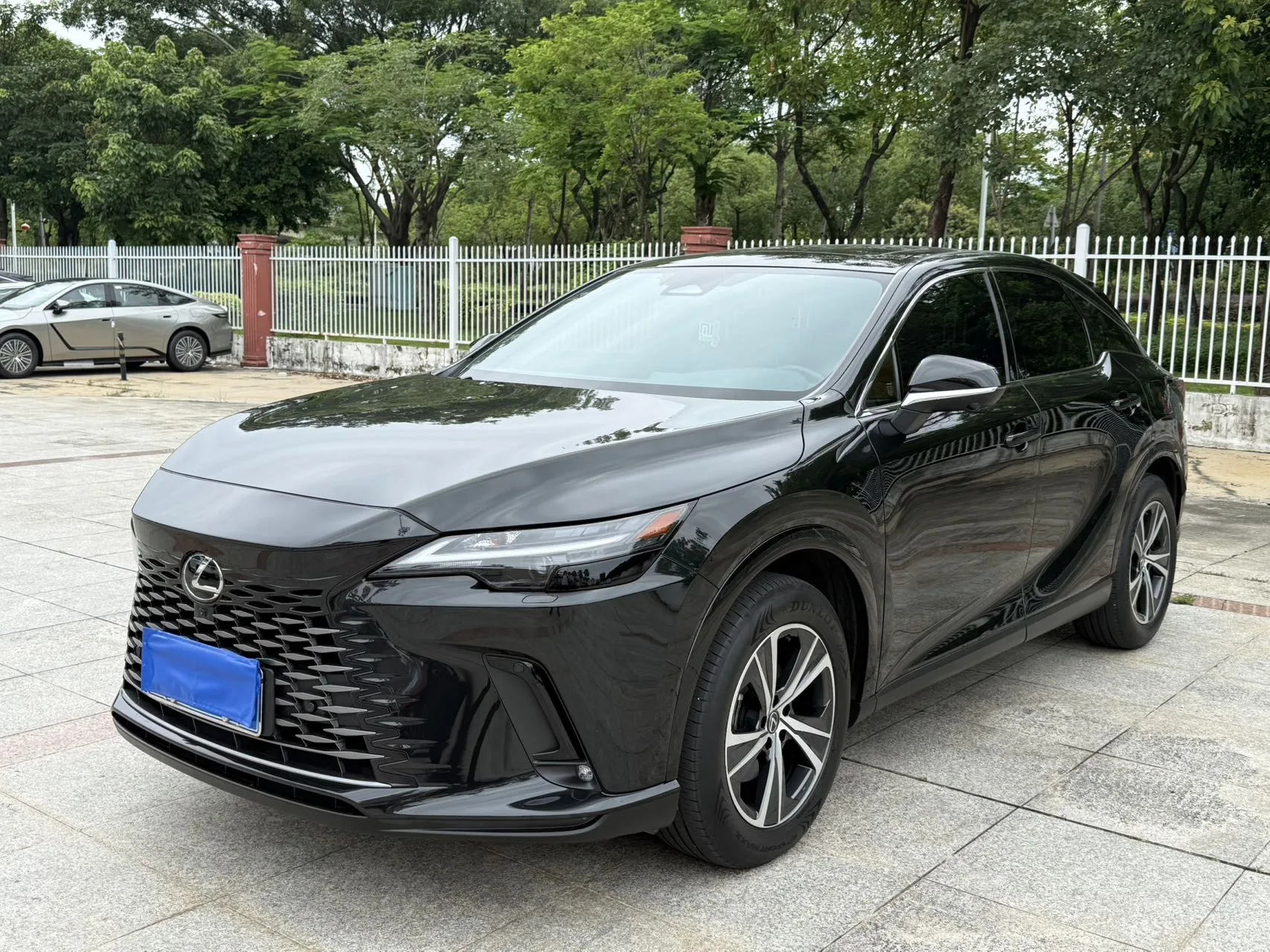 Lexus RX 2023 350h 2WD Enjoy Edition