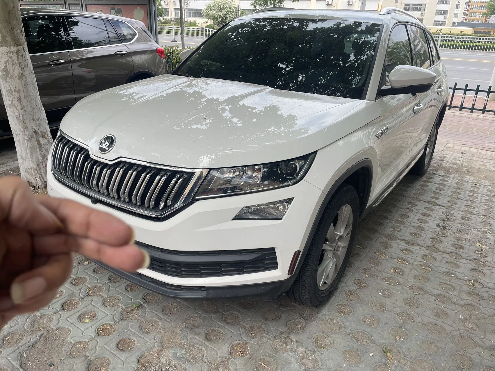 2017 Kodiaq TSI330 5-seater 2WD Comfort Edition