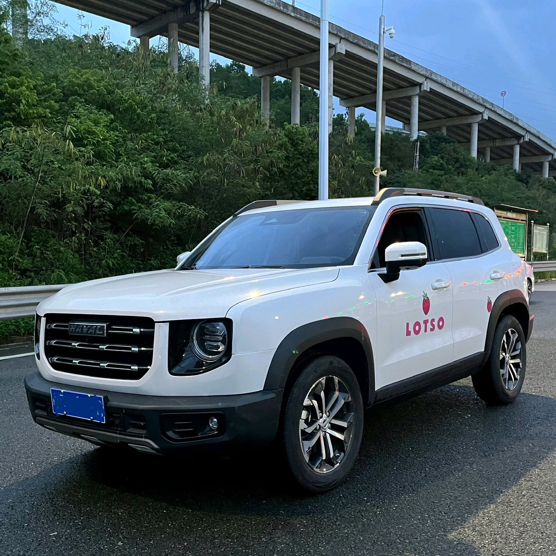 Челюсть Большой Собака 2022 1,5Т ДКТ 2WD Граница Колли Версия