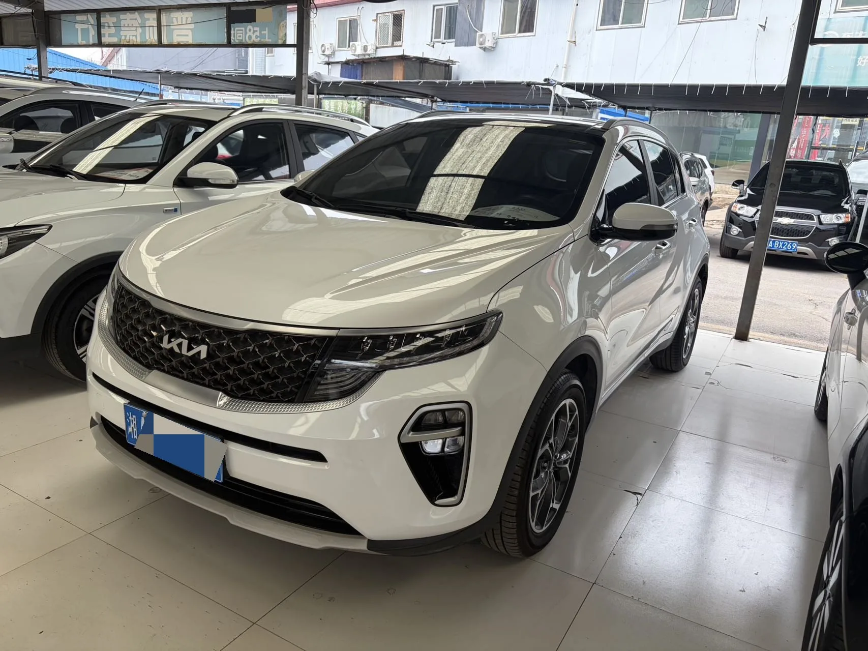 Kia KX5 2021 1.6T Automatic 2WD Luxury Edition