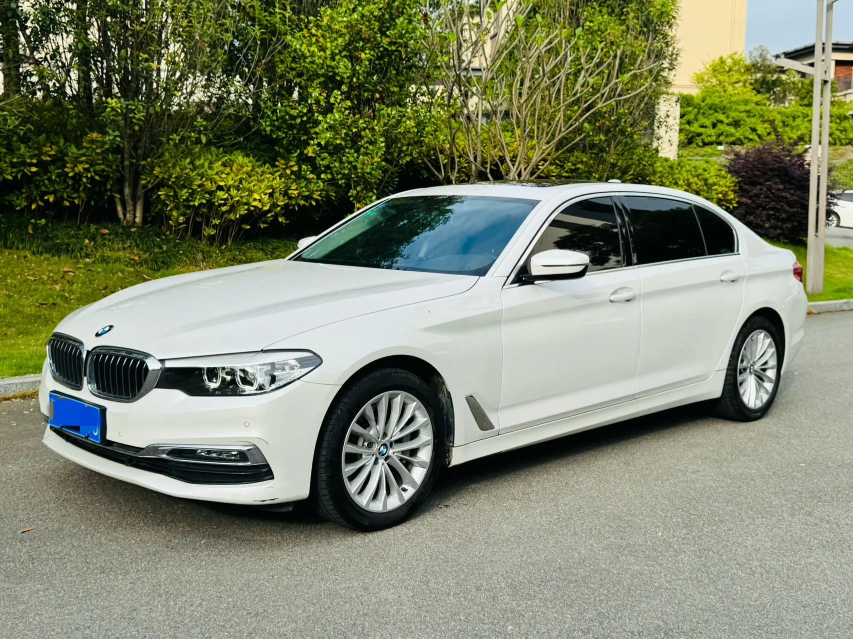 BMW 5 Series 2019 530Li Leading Luxury Package