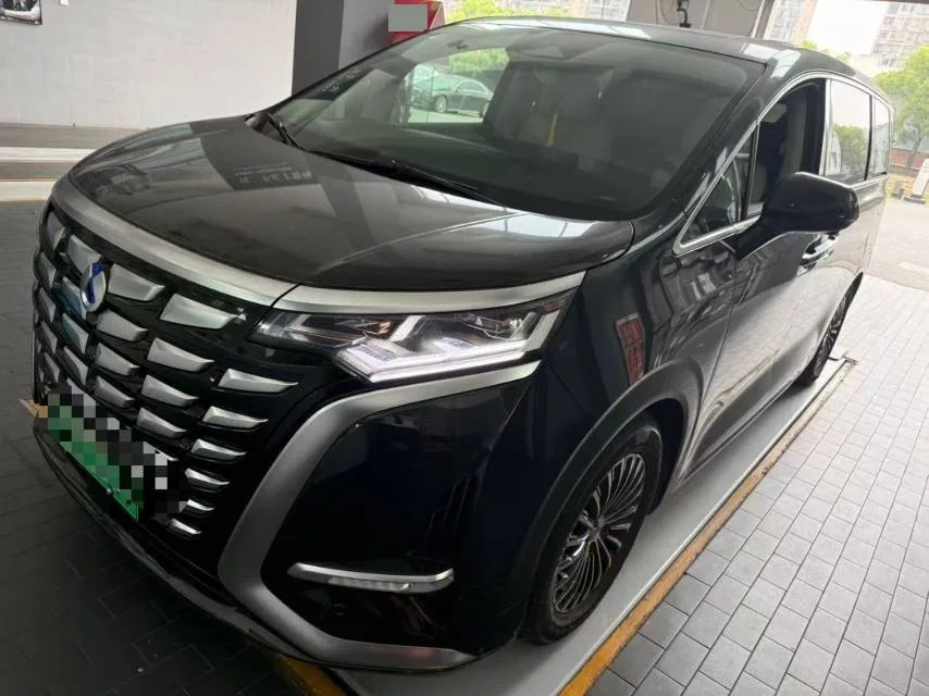Denza D9 2024 DM-i 980 4WD Premium