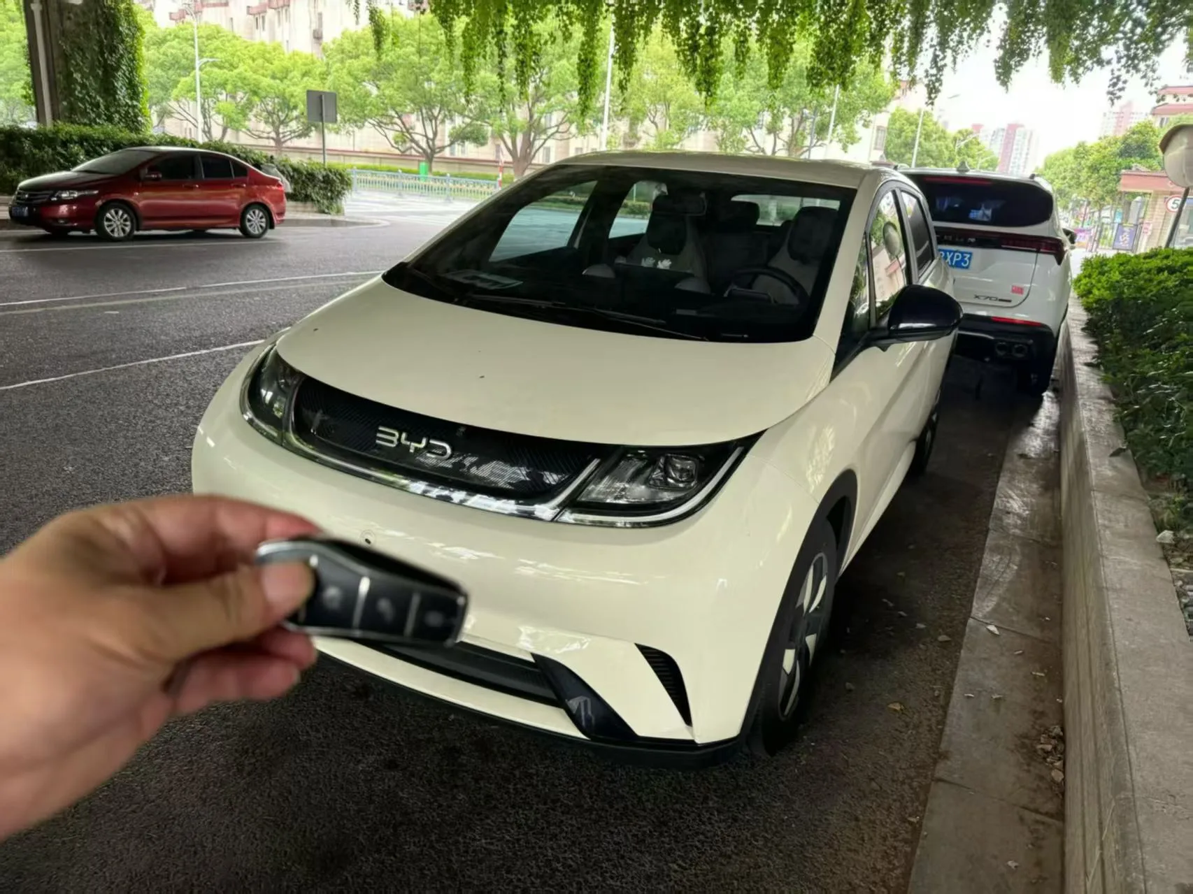 BYD 2025 Dolphin 420km Freedom Edition Automatic