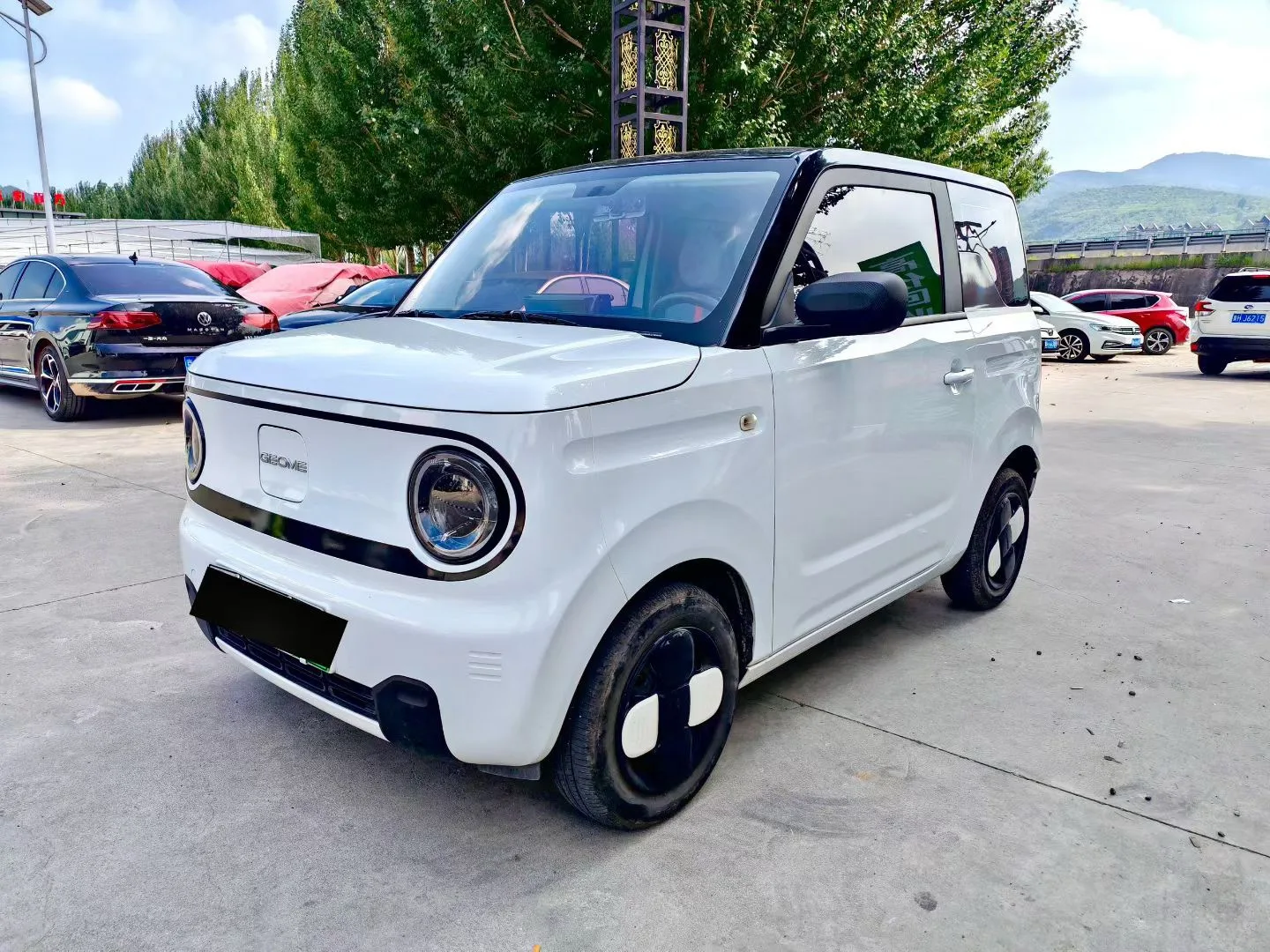 Panda 2024 Model Year Panda Mini 200 km Longteng Edition