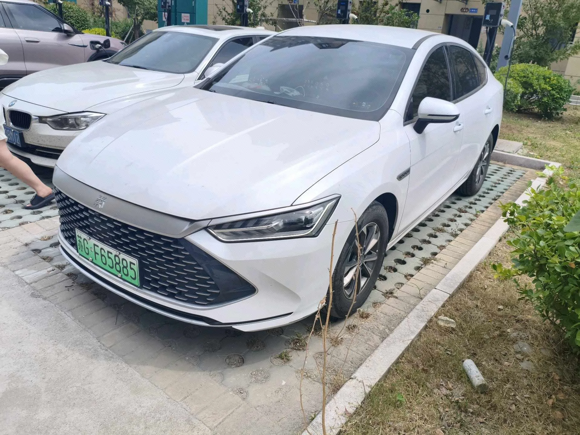 BYD 2024 Qin PLUS DM-i 1.5 CVT Glory Edition 55KM Leading Model Automatic