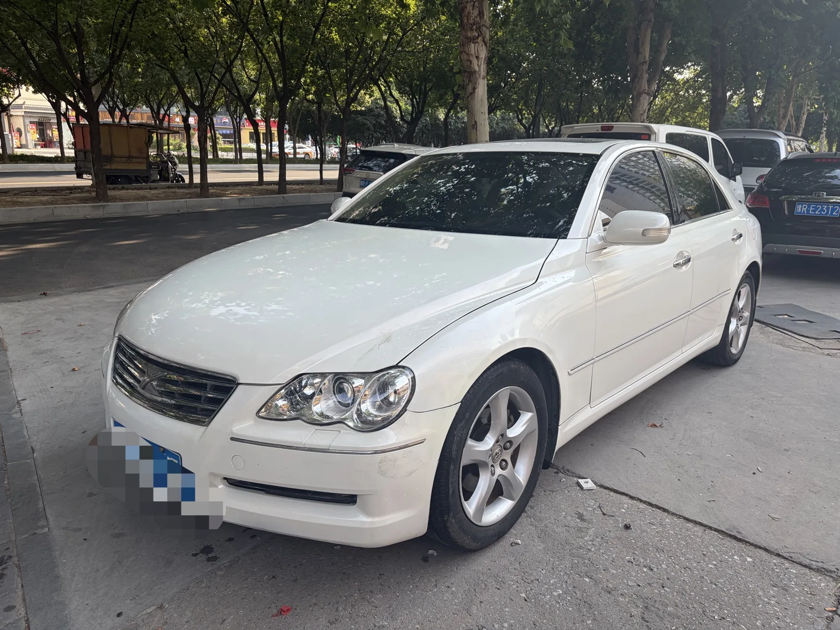 Reiz 2010 Model Year 2.5S Elegance Edition