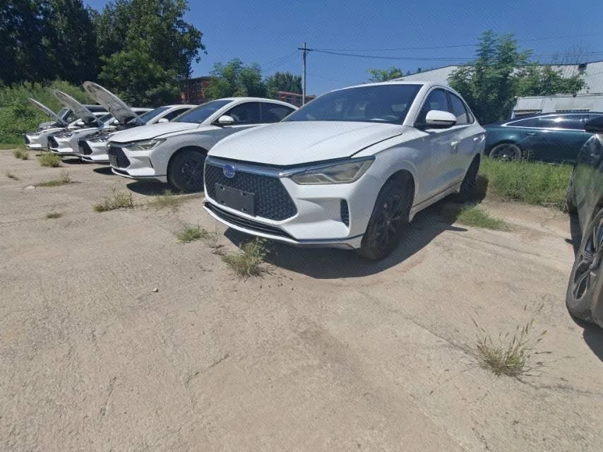 BYD e3 2021 Model Year Commuter Edition