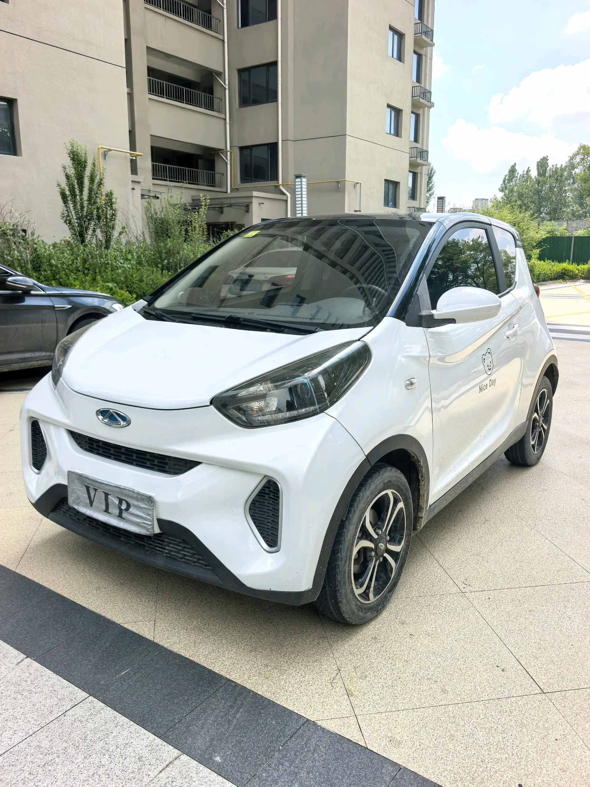 Little Ant 2019 4-seater Smart Edition 30.6kWh