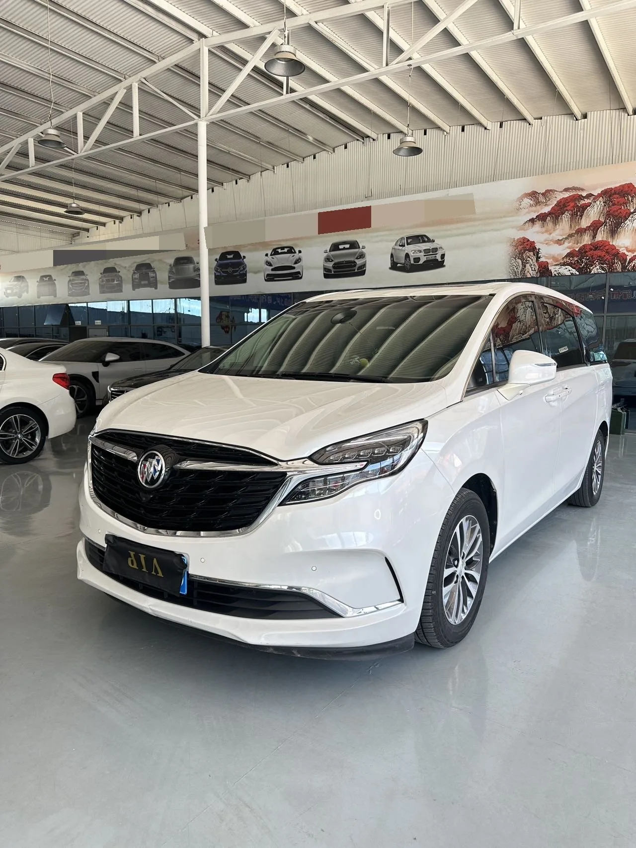 Buick GL8 2021 ES Avantgarde 653T Premium Edition
