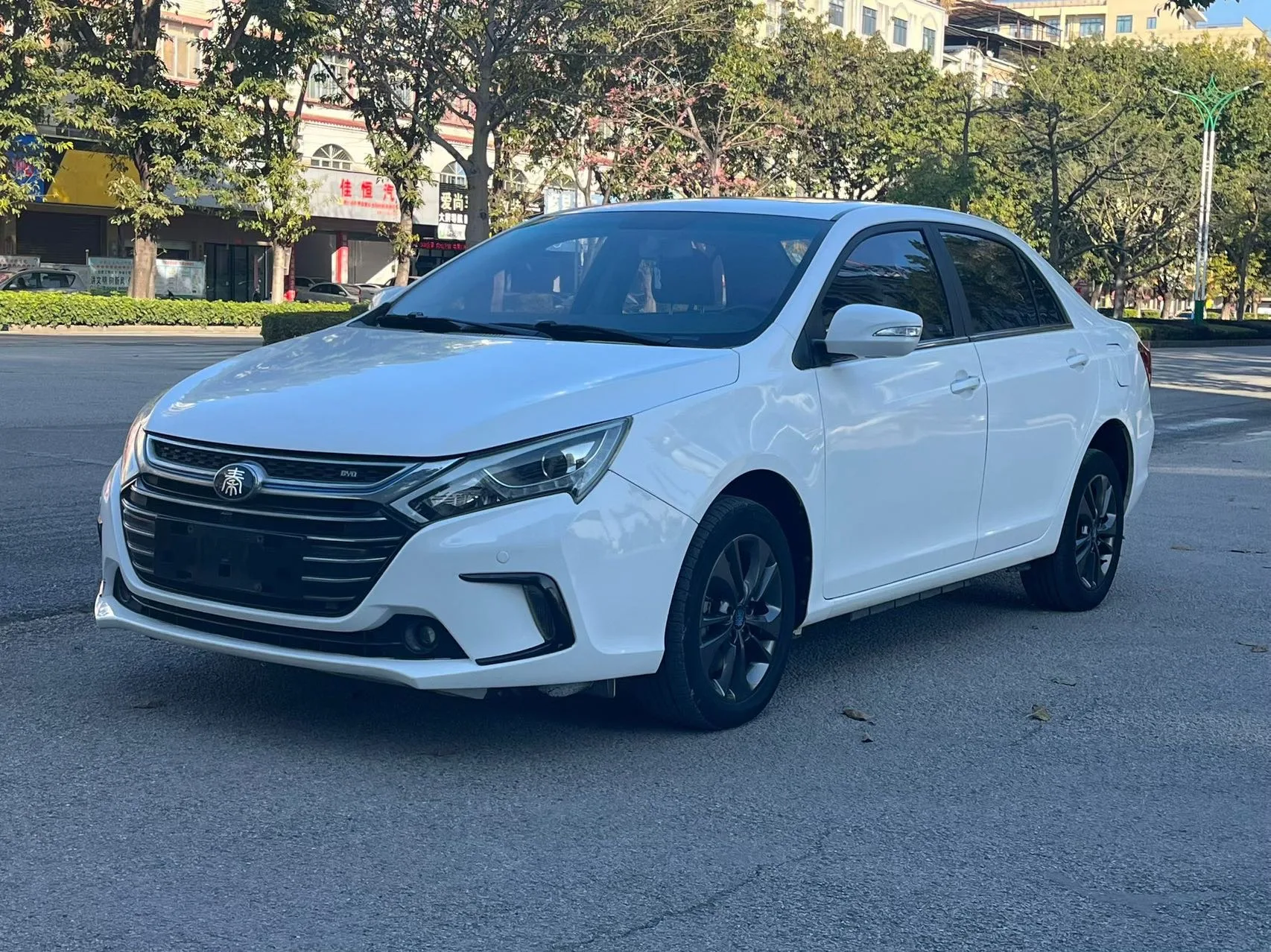 Qin New Energy 2017 1.5T Premium Edition