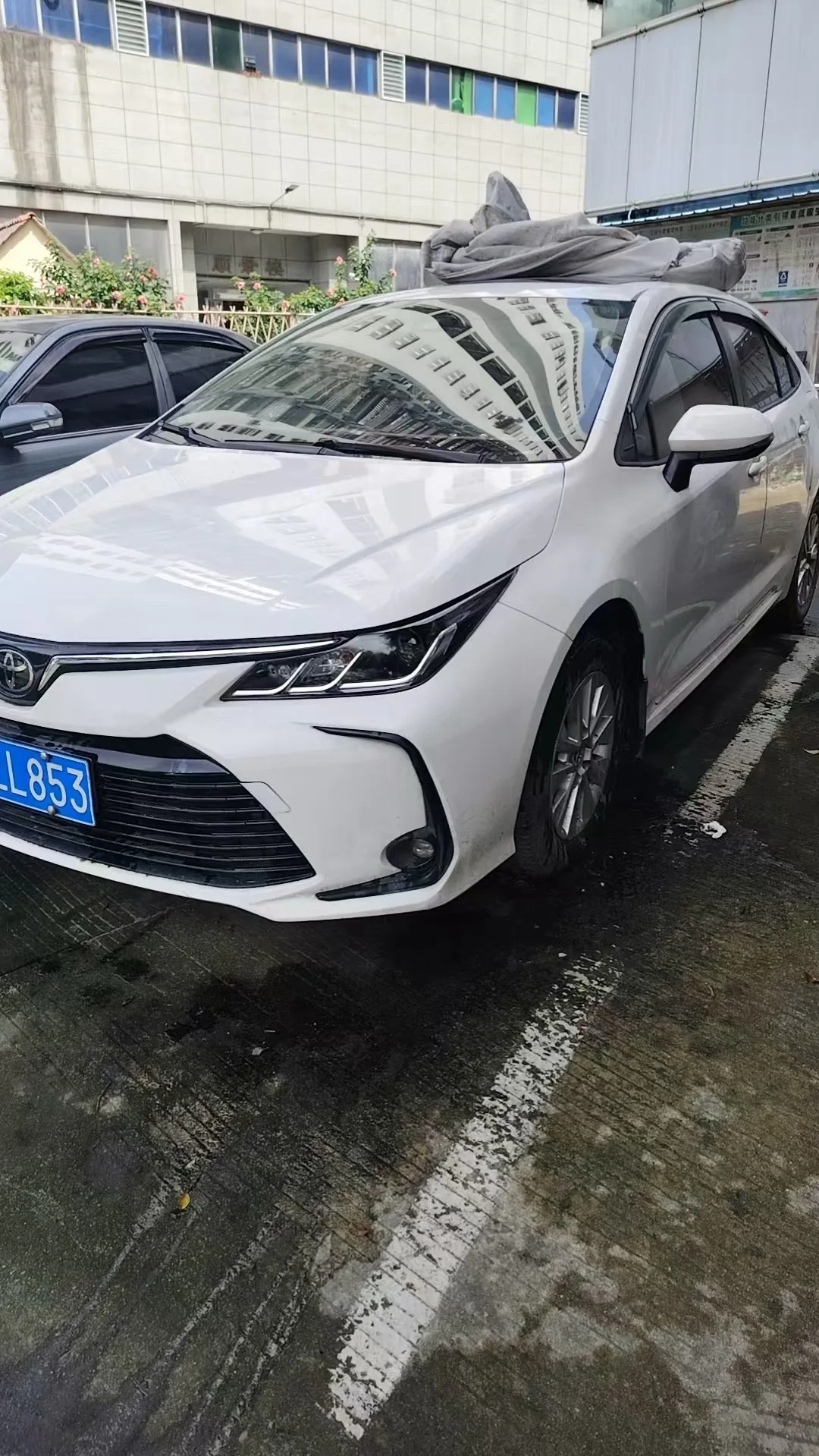 2019 Toyota Corolla 1.2T S-CVT GL-i Elite Edition