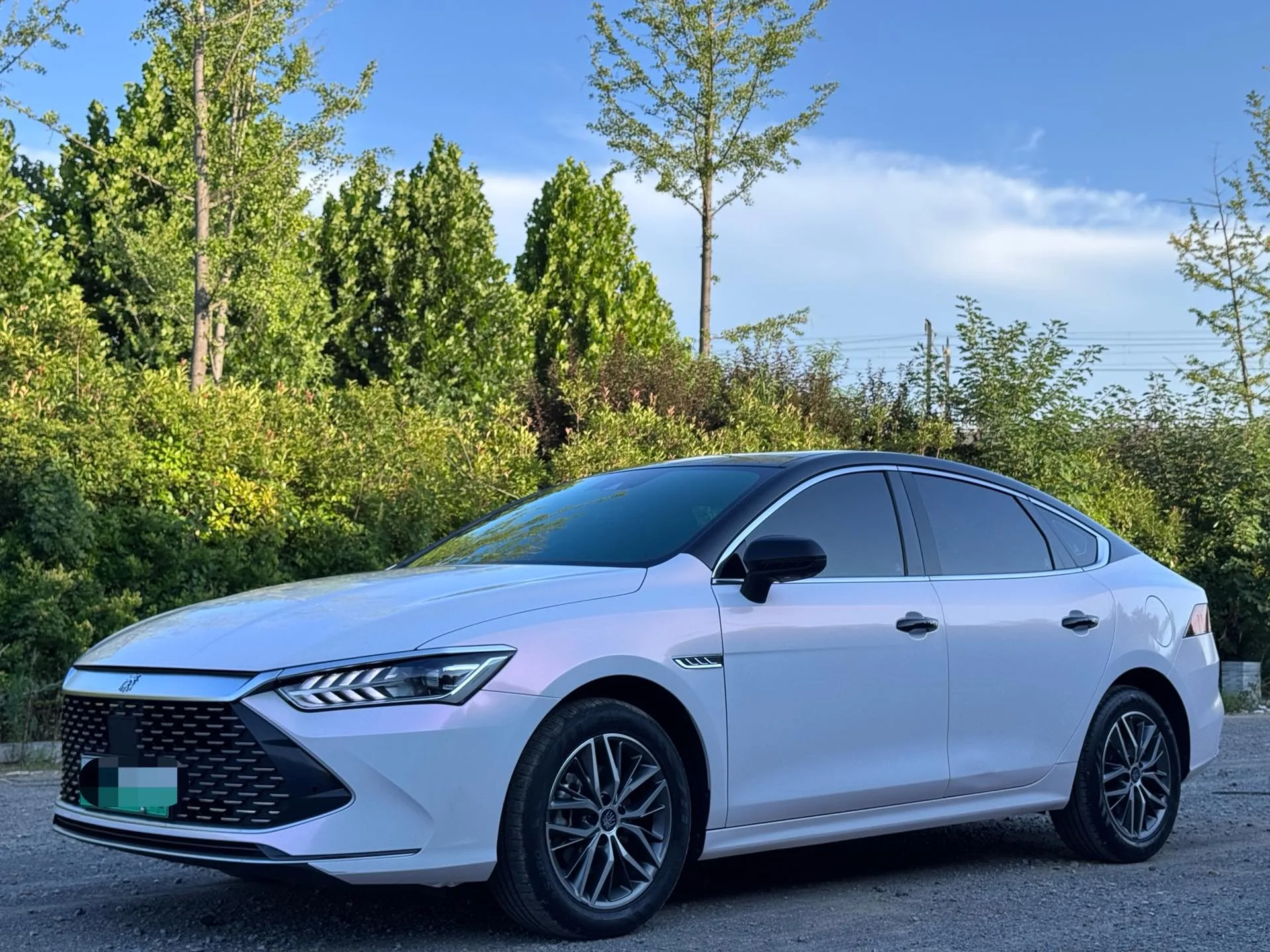 BYD 2023 Qin PLUS DM-i 1.5 CVT Champion Edition Excellence Model 120KM Automatic