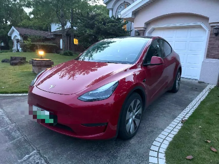 Model Y 2021 Standard Range Rear-Wheel Drive