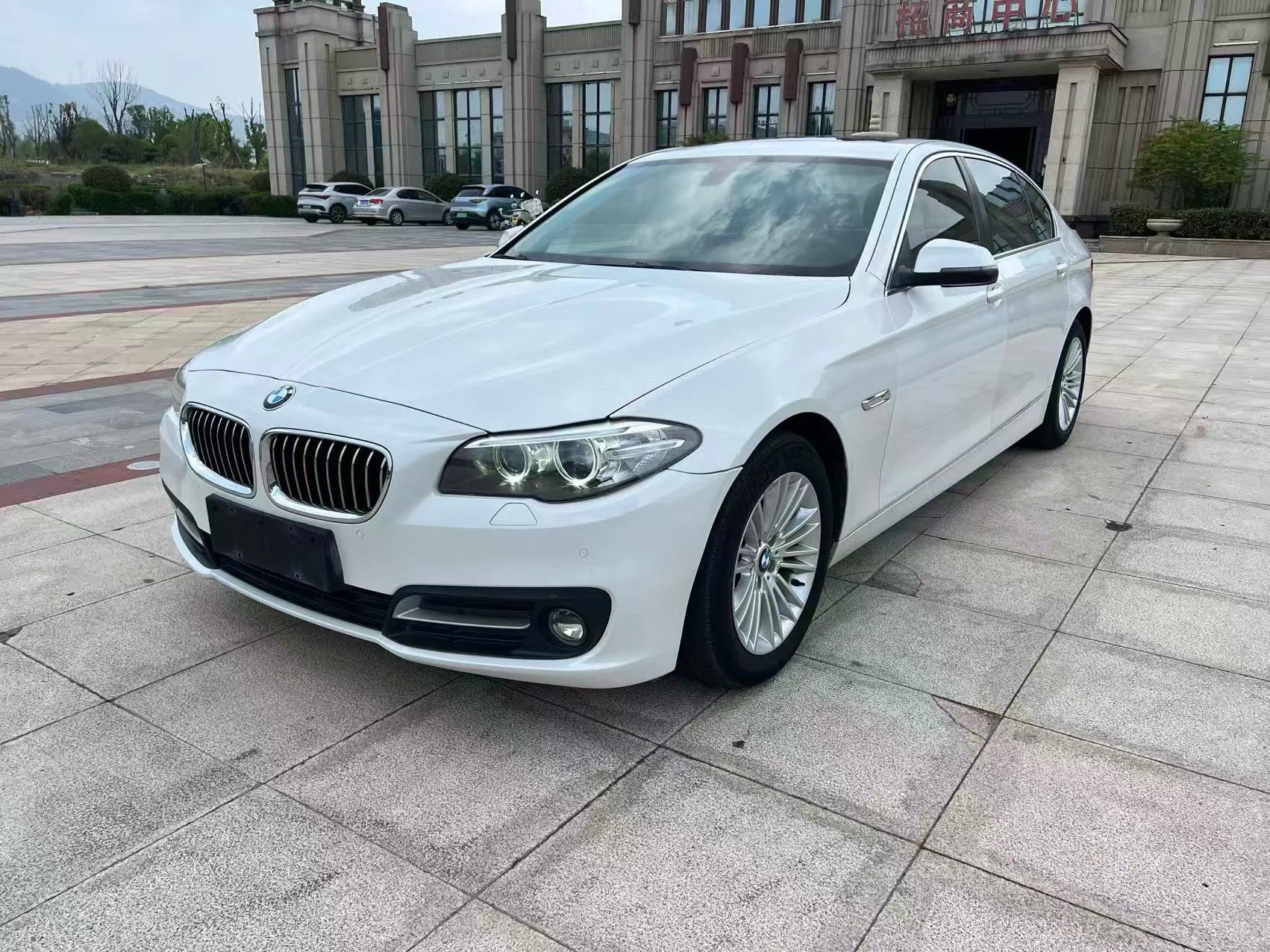 2014 BMW 5 Series 525Li Leading Edition