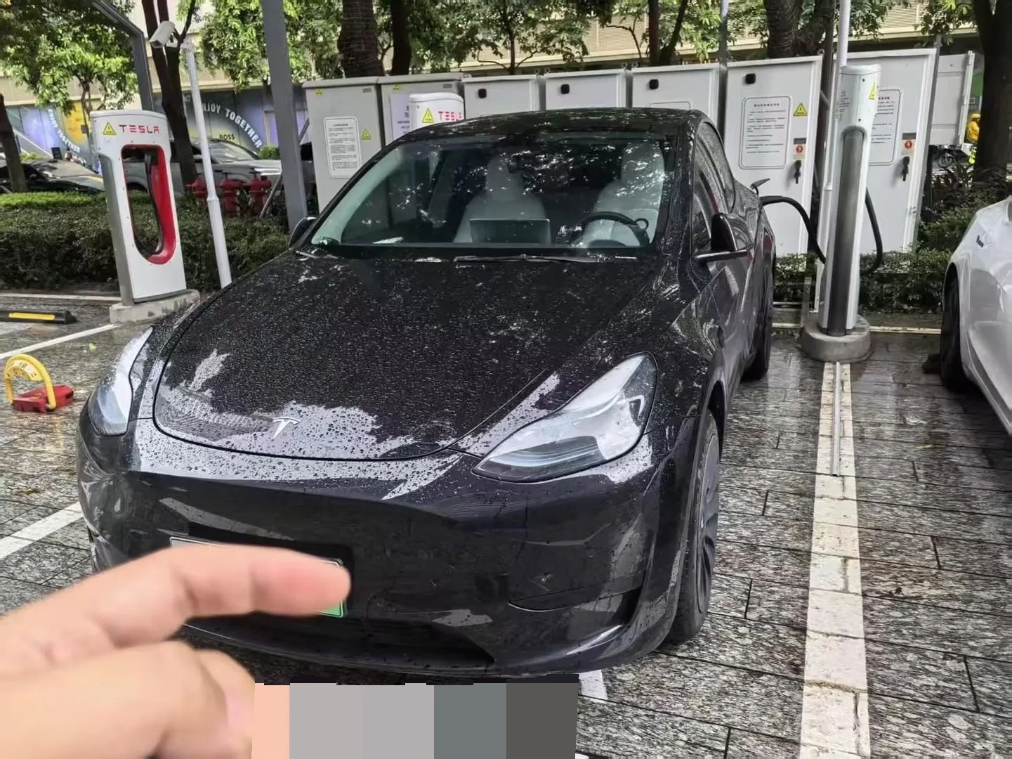 Model Y 2022 Facelift Rear-Wheel Drive Version
