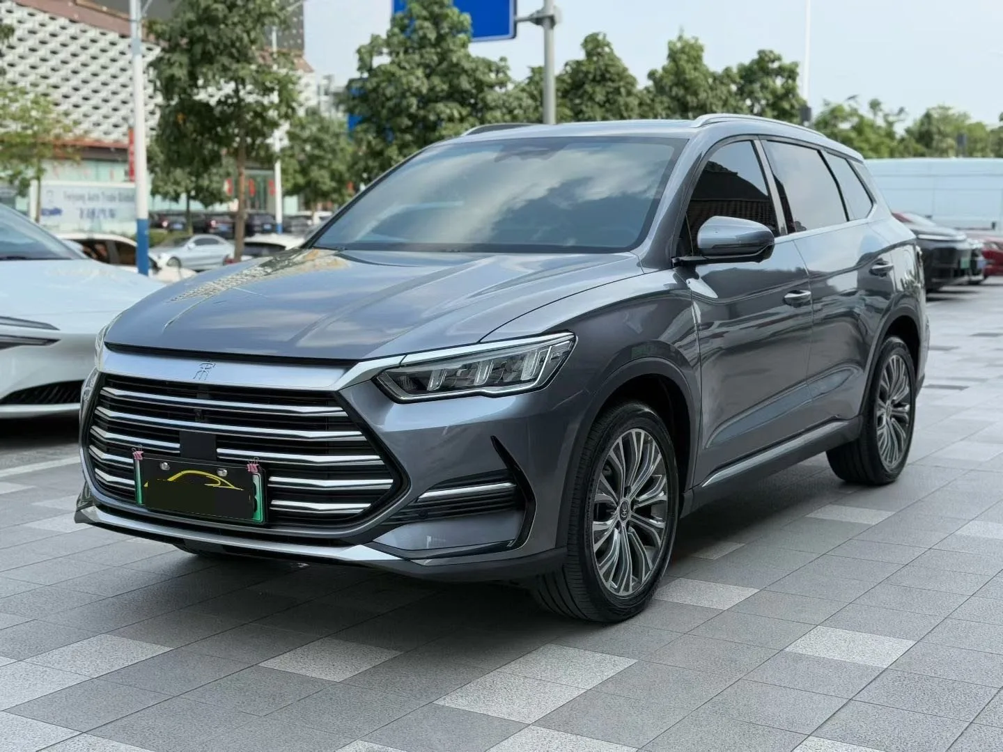 Song Pro New Energy 2022 DM-i 110km Flagship Edition