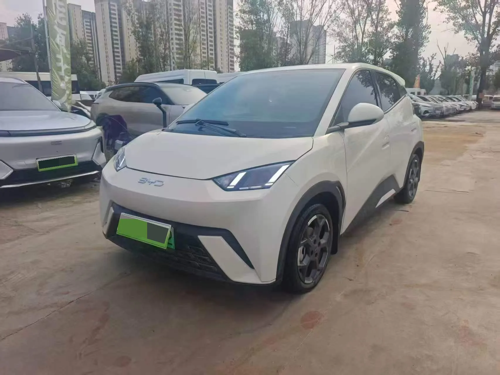 BYD 2025 Seagull 305km/h Vitality Edition Automatic