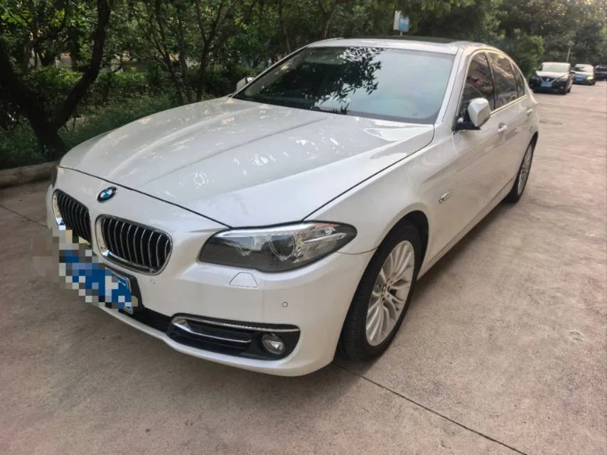 2017 BMW 5 Series 525Li Luxury Design Package