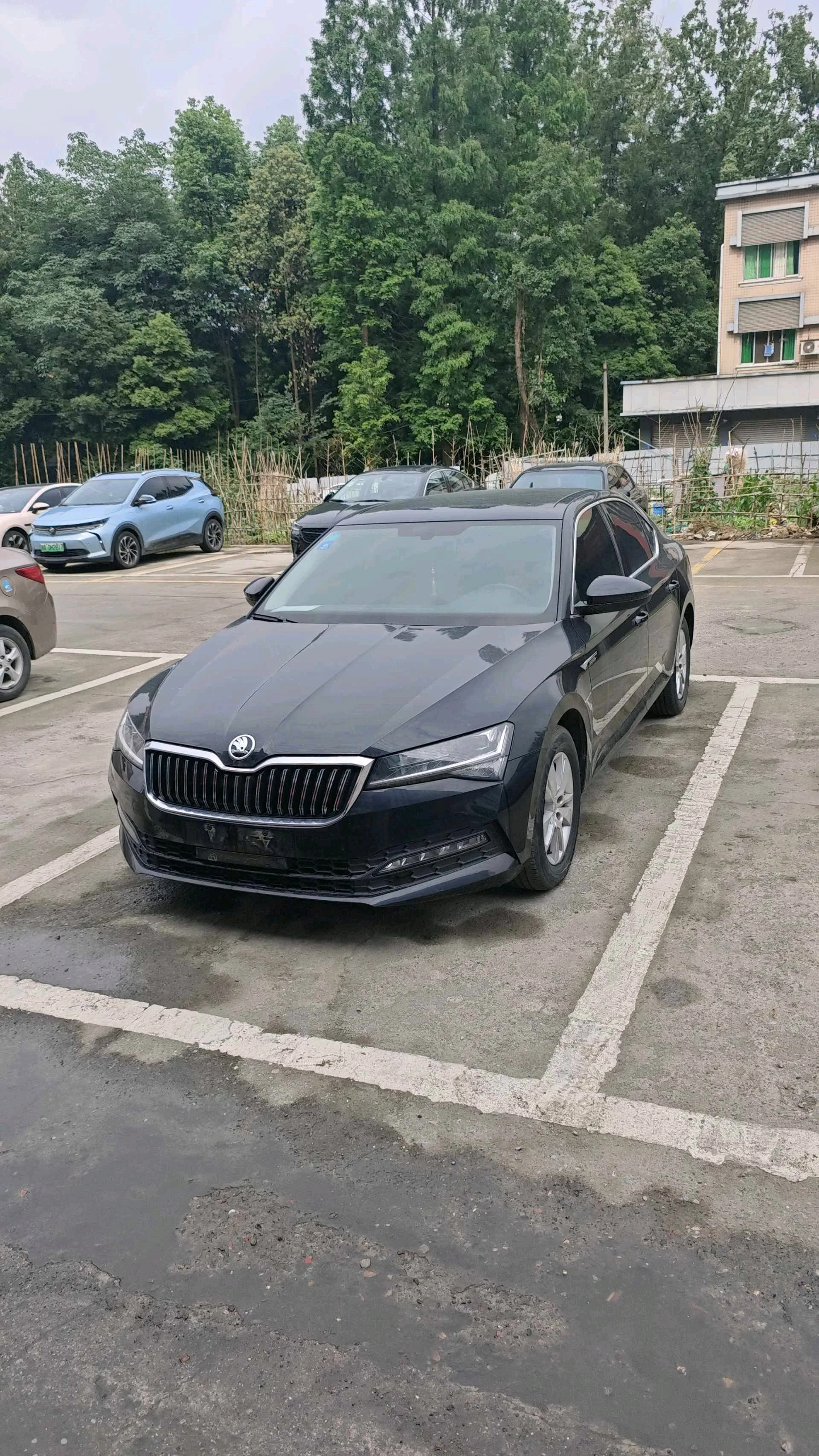 Superb 2019 TSI280 DSG Standard Edition