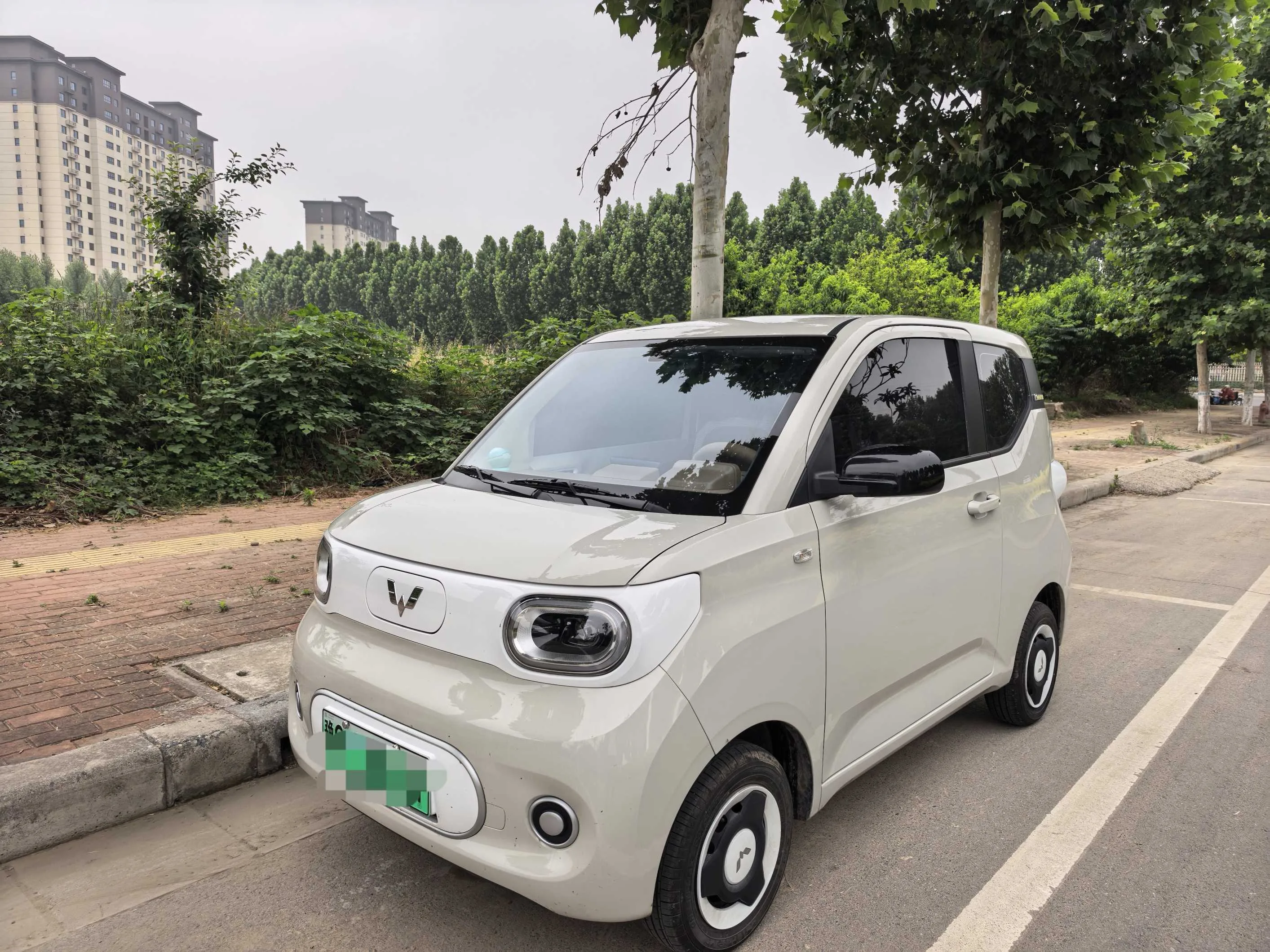 Wuling 2024 Hongguang MINI EV 215km Youth Edition Automatic