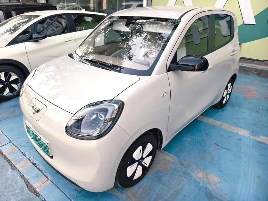 Wuling 2025 Hongguang MINI EV Four-Door Advanced Model Automatic