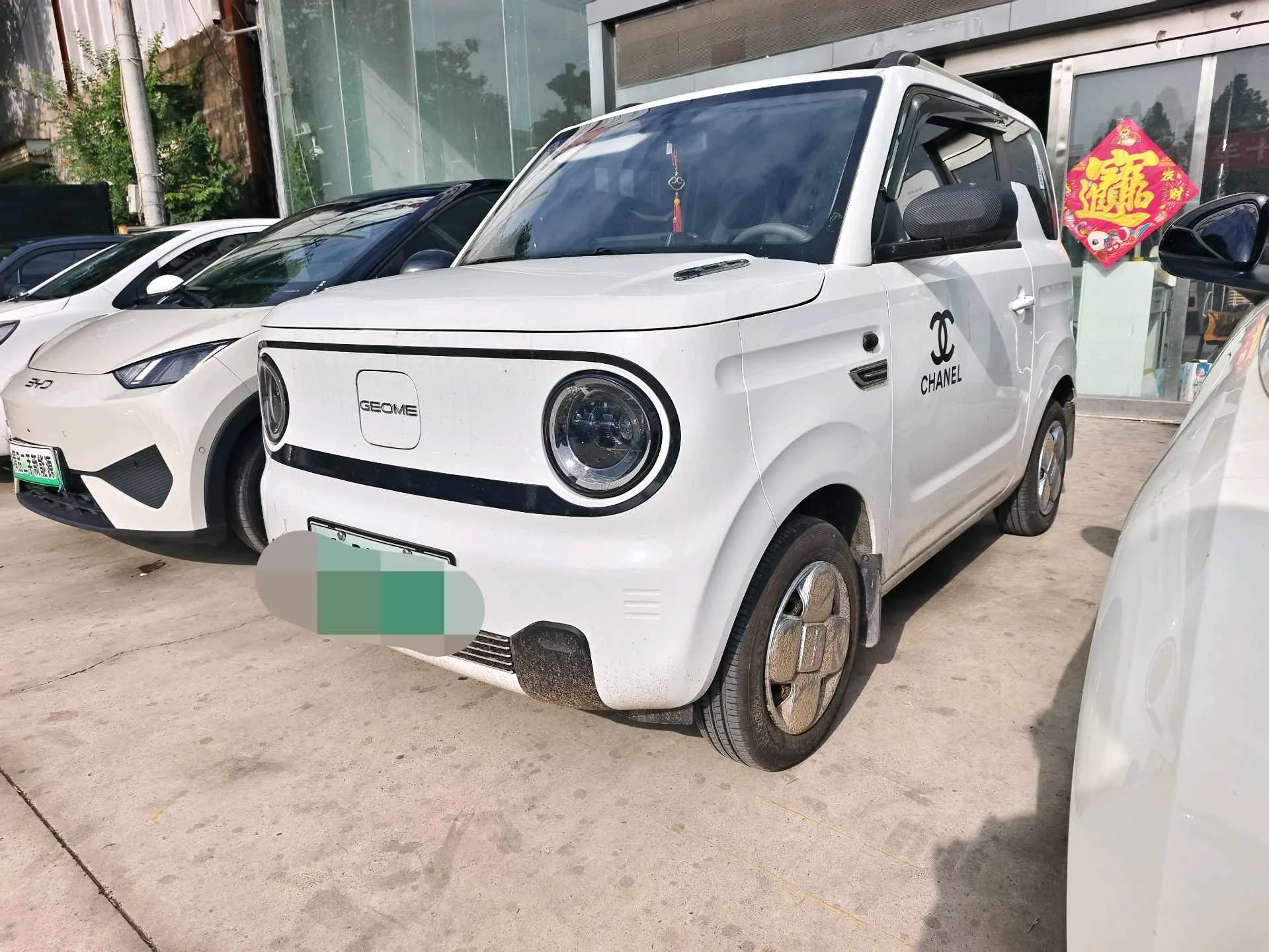 Panda 2024 Panda Mini 200km Endurance Bear