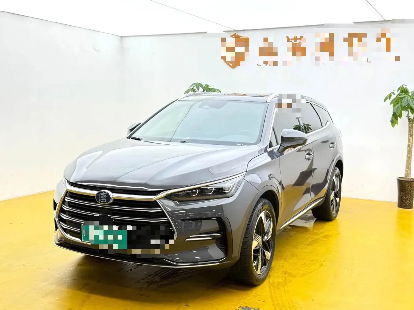 BYD Tang New Energy 2023 Tang DM-i 1.5T CVT 112KM Champion Edition Deluxe Automatic