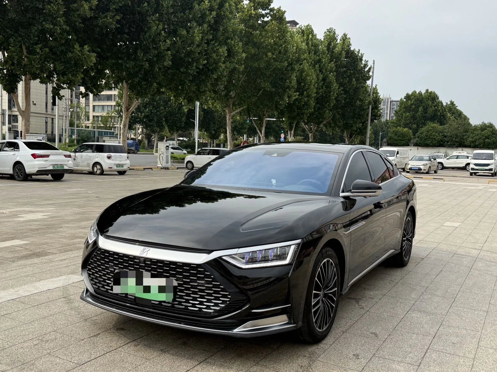 2020 Han DM 4WD Performance Luxury Edition